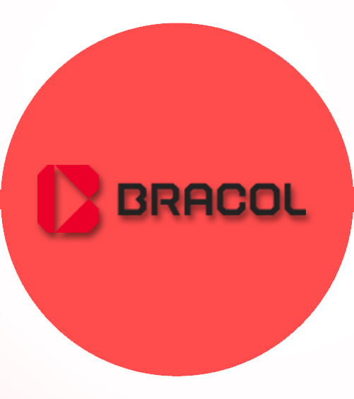 LOGO BRACOL SUBIR